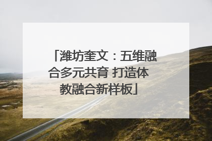 潍坊奎文：五维融合多元共育 打造体教融合新样板