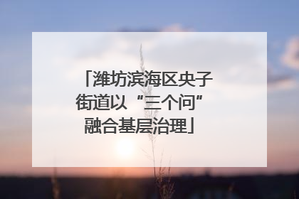潍坊滨海区央子街道以“三个问”融合基层治理