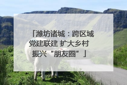 潍坊诸城：跨区域党建联建 扩大乡村振兴“朋友圈”