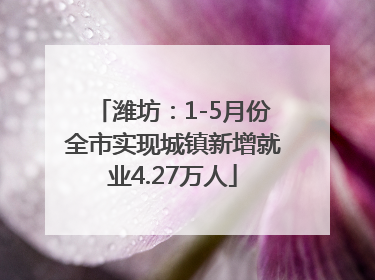 潍坊：1-5月份全市实现城镇新增就业4.27万人