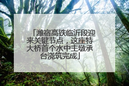 潍宿高铁临沂段迎来关键节点，这座特大桥首个水中主墩承台浇筑完成