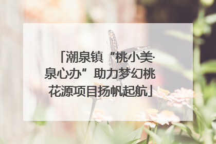 潮泉镇“桃小美·泉心办”助力梦幻桃花源项目扬帆起航