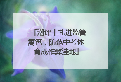潮评丨扎进监管篱笆，防范中考体育成作弊洼地