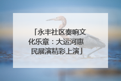 永丰社区奏响文化乐章：大运河惠民展演精彩上演