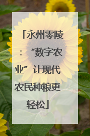 永州零陵：“数字农业”让现代农民种粮更轻松