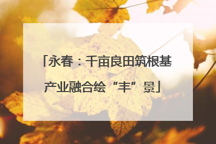 永春：千亩良田筑根基 产业融合绘“丰”景