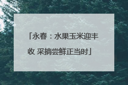 永春：水果玉米迎丰收 采摘尝鲜正当时