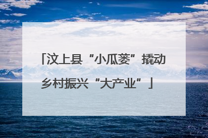 汶上县“小瓜蒌”撬动乡村振兴“大产业”
