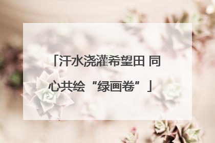 汗水浇灌希望田 同心共绘“绿画卷”