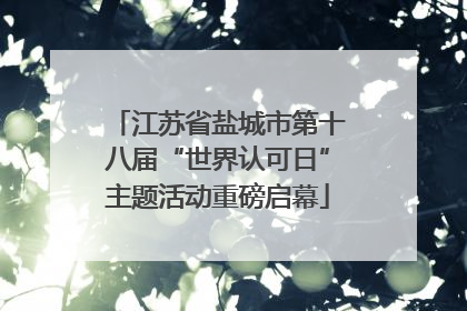 江苏省盐城市第十八届“世界认可日”主题活动重磅启幕
