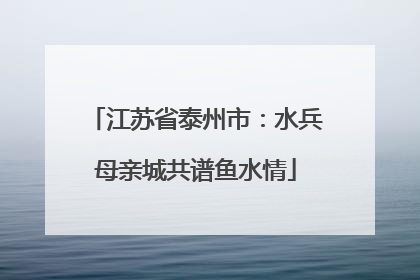 江苏省泰州市：水兵母亲城共谱鱼水情