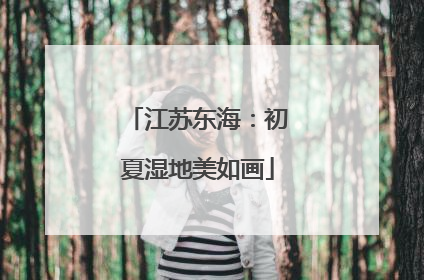 江苏东海：初夏湿地美如画