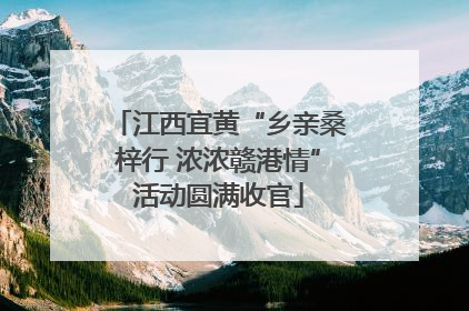 江西宜黄“乡亲桑梓行 浓浓赣港情”活动圆满收官
