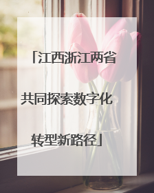 江西浙江两省共同探索数字化转型新路径