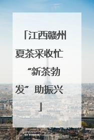 江西赣州夏茶采收忙 “新茶勃发”助振兴
