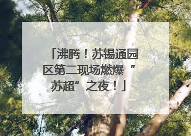 沸腾！苏锡通园区第二现场燃爆“苏超”之夜！