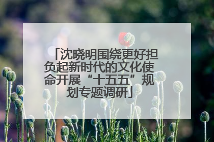 沈晓明围绕更好担负起新时代的文化使命开展“十五五”规划专题调研