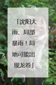 沈阳大雨、局部暴雨！局地可能出现龙卷