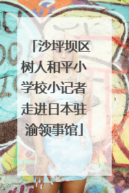 沙坪坝区树人和平小学校小记者走进日本驻渝领事馆