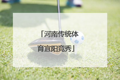 河南传统体育宜阳竞秀