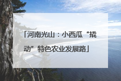 河南光山：小西瓜“撬动”特色农业发展路