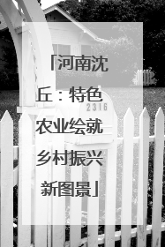 河南沈丘：特色农业绘就乡村振兴新图景