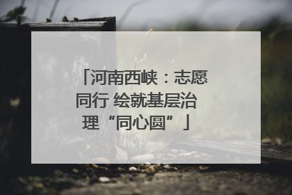 河南西峡：志愿同行 绘就基层治理“同心圆”