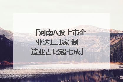 河南A股上市企业达111家 制造业占比超七成