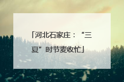 河北石家庄：“三夏”时节麦收忙