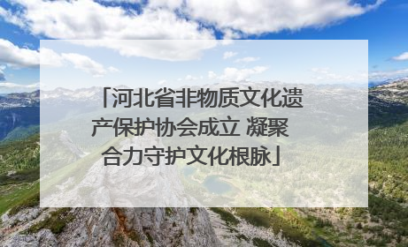 河北省非物质文化遗产保护协会成立 凝聚合力守护文化根脉