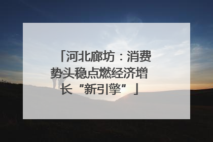 河北廊坊：消费势头稳点燃经济增长“新引擎”
