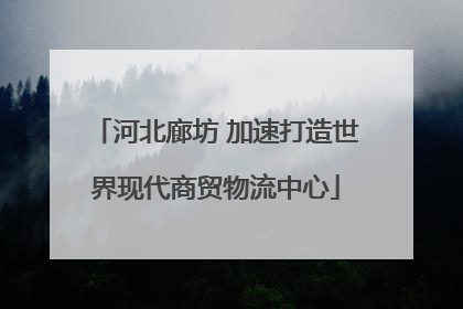 河北廊坊 加速打造世界现代商贸物流中心