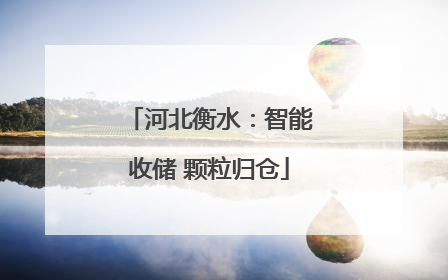 河北衡水：智能收储 颗粒归仓