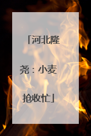河北隆尧：小麦抢收忙