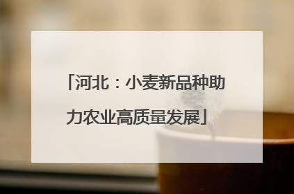 河北：小麦新品种助力农业高质量发展