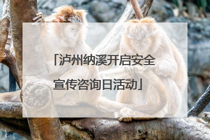 泸州纳溪开启安全宣传咨询日活动