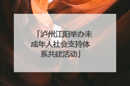 泸州江阳举办未成年人社会支持体系共建活动
