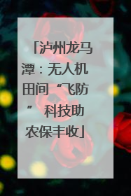 泸州龙马潭：无人机田间“飞防” 科技助农保丰收