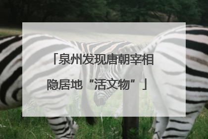 泉州发现唐朝宰相隐居地“活文物”