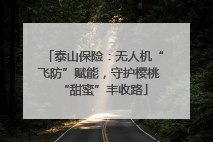 泰山保险：无人机“飞防”赋能，守护樱桃“甜蜜”丰收路