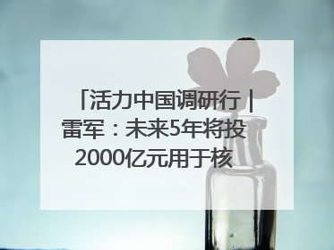 活力中国调研行｜雷军：未来5年将投2000亿元用于核心技术研发