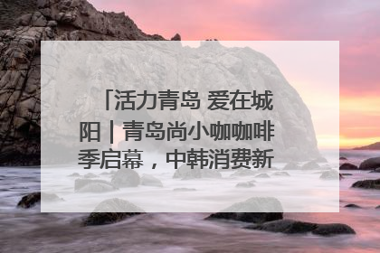 活力青岛 爱在城阳｜青岛尚小咖咖啡季启幕，中韩消费新场景点燃夏日热情