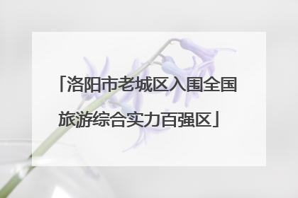 洛阳市老城区入围全国旅游综合实力百强区