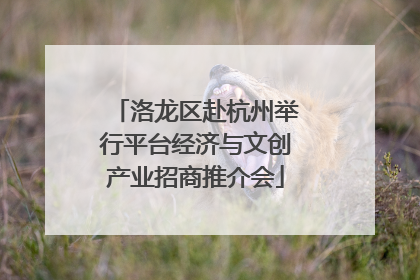 洛龙区赴杭州举行平台经济与文创产业招商推介会