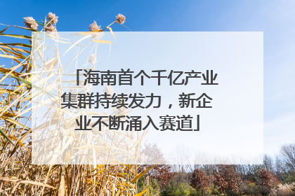 海南首个千亿产业集群持续发力，新企业不断涌入赛道