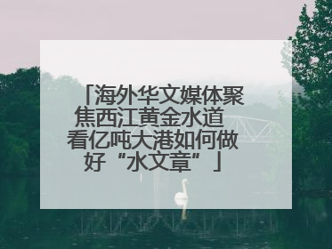 海外华文媒体聚焦西江黄金水道 看亿吨大港如何做好“水文章”