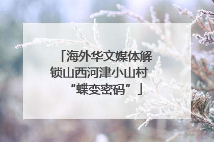 海外华文媒体解锁山西河津小山村“蝶变密码”