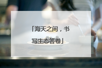 海天之间，书写生态答卷