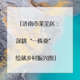 济南市莱芜区：深耕“一株桑” 绘就乡村振兴图