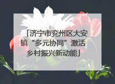 济宁市兖州区大安镇“多元协同”激活乡村振兴新动能